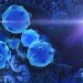 Cancer of the Esophagus – Oren Zarif