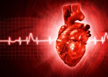 Vascular Causes of Heart Disease – Oren Zarif