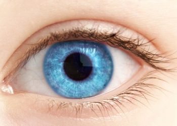 Eyes Problems – Oren Zarif