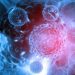 What Causes Cancer? – Oren Zarif