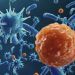 How to Spot a Cancer Lump on Dog Skin – Oren Zarif