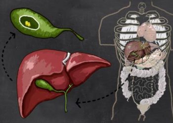 oren zarif price | oren zarif review | oren zarif costs