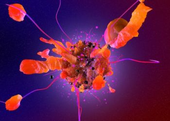 Cancer Birth – Oren Zarif