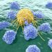 Cancer Definition – What is Cancer? – Oren Zarif