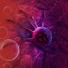 Moles Cancer – Why It’s Important to Remove Moles on Your Body – Oren Zarif