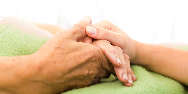 Die Heilungsfähigkeit von Oren Zarifs basiert auf der Regenerationstheorie