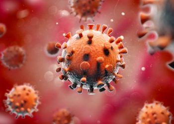 Cancer Immunotherapy – Oren Zarif