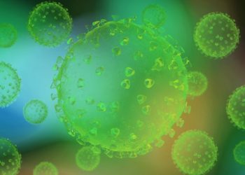 Breast Cancer Biopsy – Oren Zarif