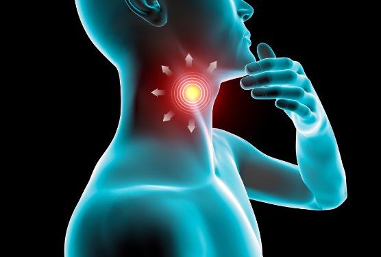 Thyroid – Oren Zarif