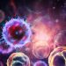 Types of Breast Cancer Treatment – Oren Zarif