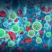 Cancer of the Liver – Oren Zarif