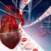 Heart Problems – Oren Zarif