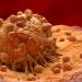 What You Should Know About Cancer – Oren Zarif