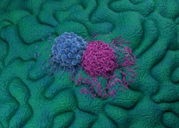 Cancer Food Fighting Tips – Oren Zarif