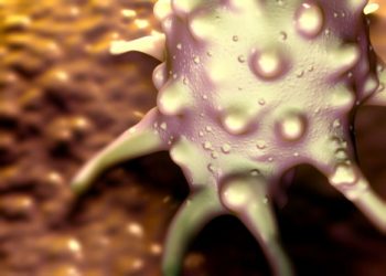 Colon Cancer Symptoms and Treatment – Oren Zarif