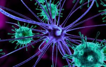 Types of Blood Cancer and How They Are Treated – Oren Zarif