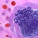 Colon Cancer Treatment Options – Oren Zarif