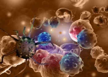 oren zarif price | oren zarif review | oren zarif costs