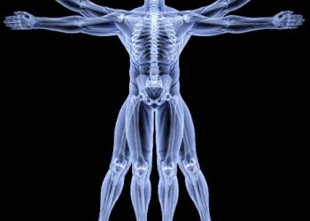 Fibromyalgia Causes – Oren Zarif