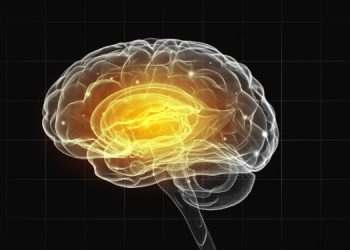 About Cerebral Event Symptoms – Oren Zarif