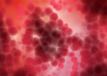 Cancer of the Cervix in India – Oren Zarif