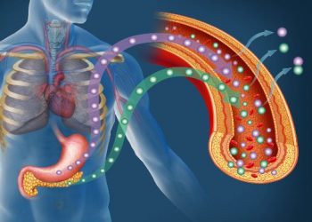 Breast Cancer Detection and Treatment – Oren Zarif