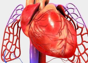 Treatment for Cancer Near the Heart – Oren Zarif