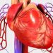 Treatment for Cancer Near the Heart – Oren Zarif