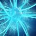 How Much Cancer is Hereditary? – Oren Zarif