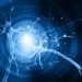 Can Cancer Cause Hair Loss? – Oren Zarif