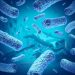 Which Cancer is Purple? – Oren Zarif