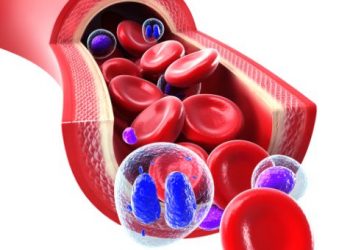 Why Cancer Happens? – Oren Zarif