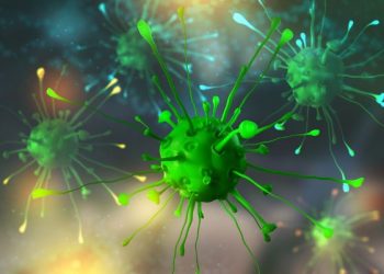 Skin Cancers Detail – Oren Zarif