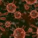 Is Cancer Contagious? – Oren Zarif