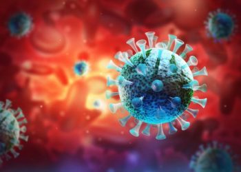 Skin Cancers – What You Need to Know – Oren Zarif