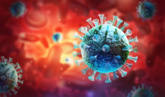 Skin Cancers – What You Need to Know – Oren Zarif