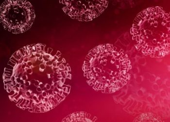 Colon Cancer Diagnosis and Treatment – Oren Zarif