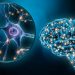 What Treatments For Testicular Cancer Are Available? – Oren Zarif