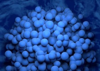 Testicular Cancer and Testicles – Oren Zarif