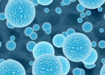 What About Cancer? – Oren Zarif