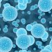 What About Cancer? – Oren Zarif
