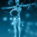 Anal Cancer Treatment – Oren Zarif