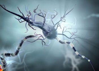 Melanoma Cancer Treatments – Oren Zarif