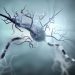 Melanoma Cancer Treatments – Oren Zarif