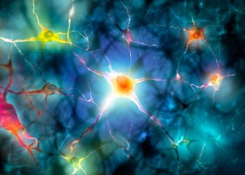 Thyroid Cancer Diagnosis and Treatment – Oren Zarif