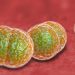 What Is Cancer Staging? – Oren Zarif