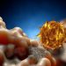 What is the Cause of Prostate Cancer? – Oren Zarif