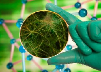 Tonsillitis Cancer Prognosis – Oren Zarif