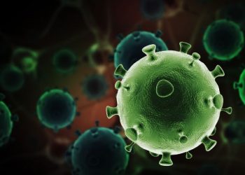 What Are My Treatment Options For Womb Cancer? – Oren Zarif