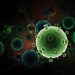 What Are My Treatment Options For Womb Cancer? – Oren Zarif